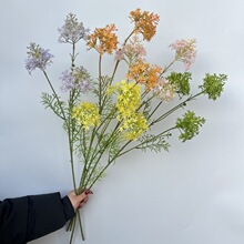 3�^�m��� ���滨�ٻ����������c�廨�Ƶ��b�Y���������仨