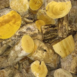 �S��ľ߅�������_�ϵ�̾����������Ͼ���С��ԭľ��