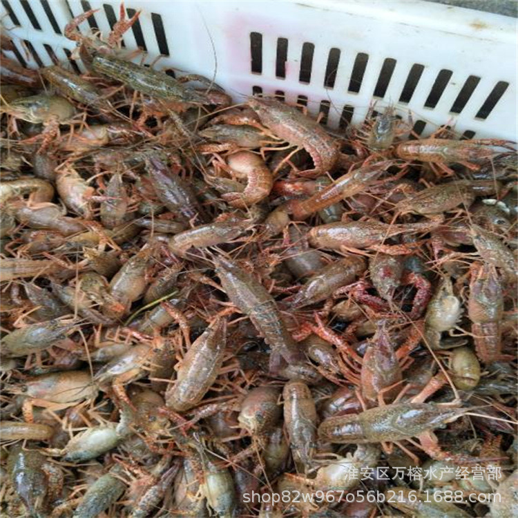 7e702dd18135f5b333cf0568c61ab6