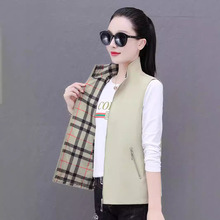 ���洩�R��Ů�������ױ���2025�＾�¿�Ŀ������ꋌ���R�A�⴩