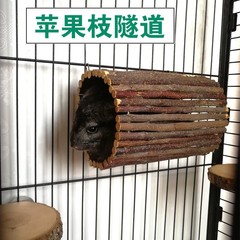 Rabbit Tree Hole Toy, Squirrel Wooden Tunnel, Guinea Pig Toy, Tamagotchi Tooth Grinding Apple Wood, Cage Accessories