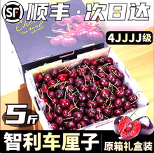 酸甜5整箱露天包邮新鲜水果3孕妇车厘子直发产地包邮大果2整箱