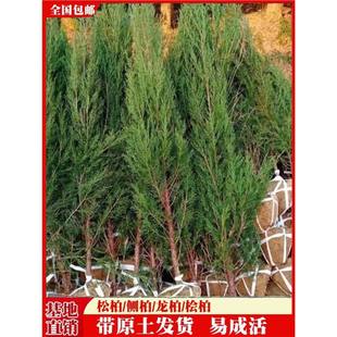 ���ؘ�������ɰؘ����ɘ���ؘ����ľ�ɘ��ļ��L�๤�̾G����ľ