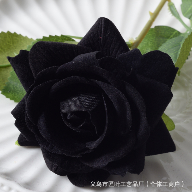 엘사 로즈 블랙