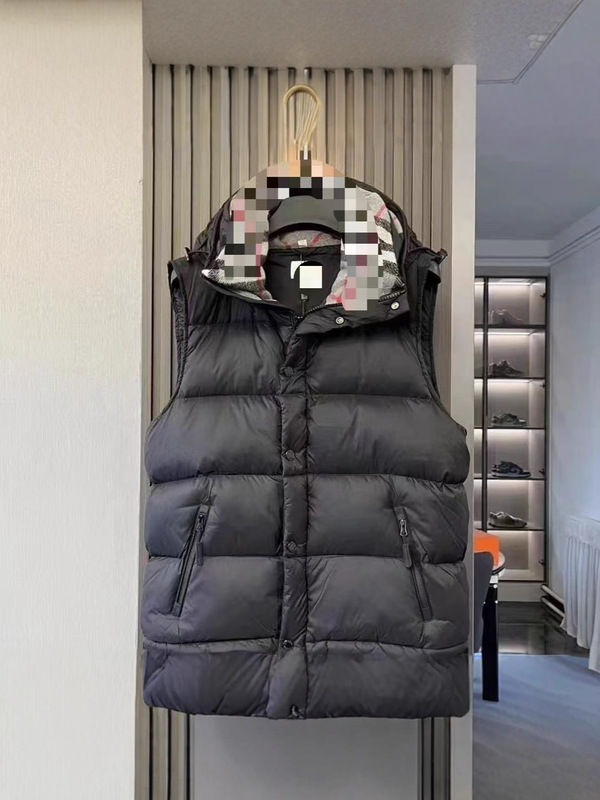 2025爆款马甲家新款羽绒服新款保暖外套季潮流白鸭绒|undefined