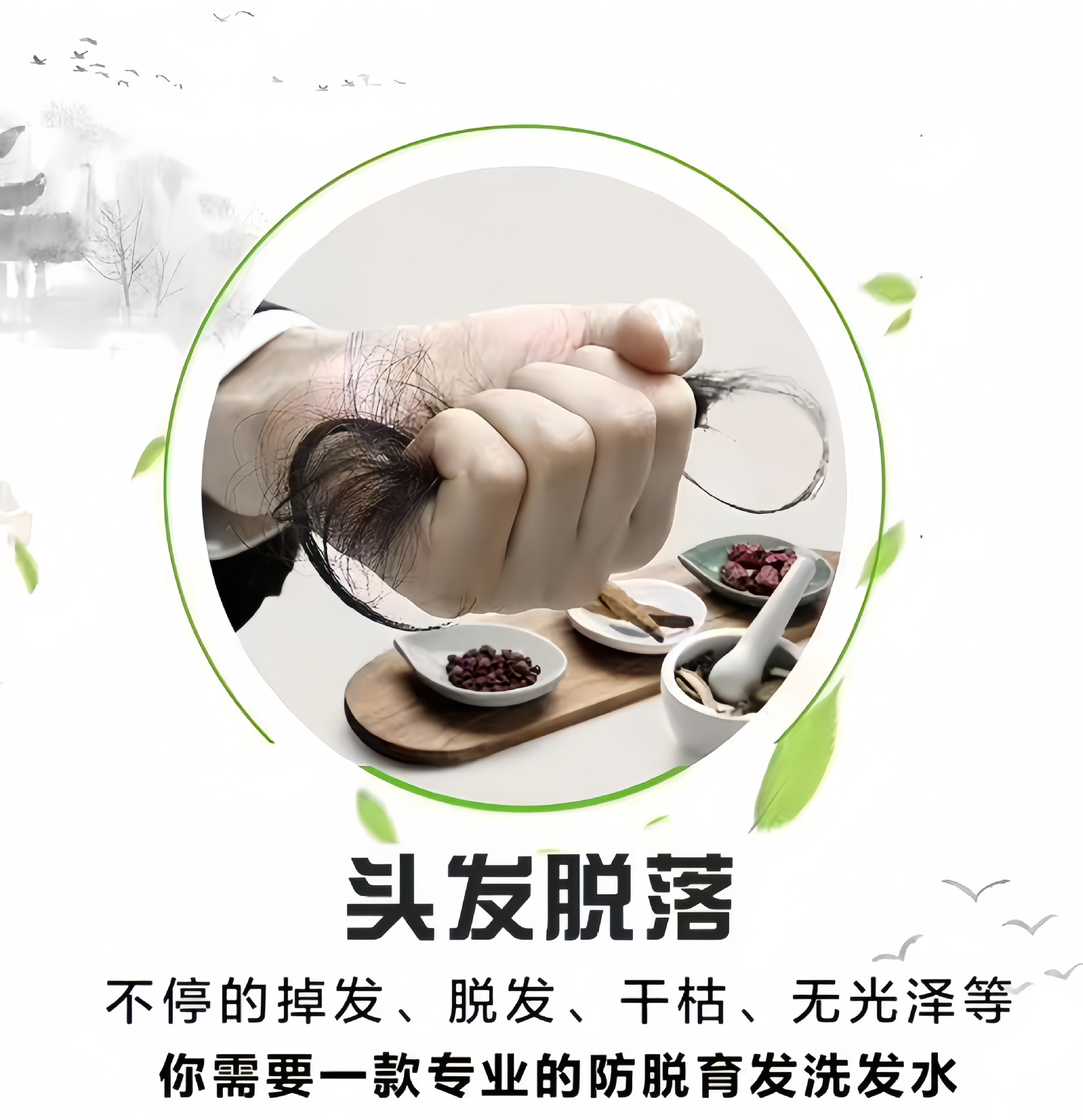 微信图片_20240721194222_副本.jpg