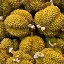 ����̩���Ϙ��������ɏ�������r�������������r����؈ɽ�����l�r