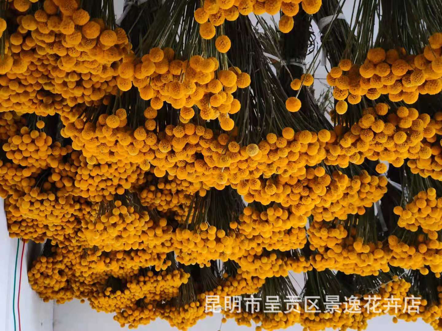 23b095da42764926f01a855d89e3cc