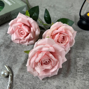 �¿�3�^�ʯ��ö���滨��Y��̨õ�廨�Ҿ��҃��b��Ĕz����