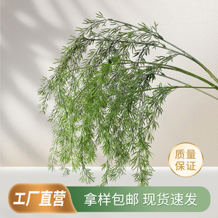 ����Gֲ���ĵ�픻���Y�廨��ˇ����ϵ�н����G�~�ٻ����õ��Ż�