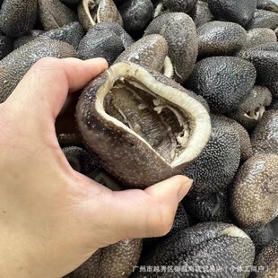 Խ���������Ұ�������}������Ԫ��ˮ�l�Ƶ�ʳ�ĠI�B���a���r