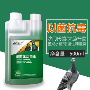 Pigeon medicine phage live bacteria King 500ml/bottle intestinal crop inflammation water green stool diarrhea non-pigeon medicine