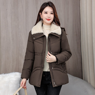 ���Q�޷�Ů�Ӻ����ë�̿����׶����¿��OӋ���������\��