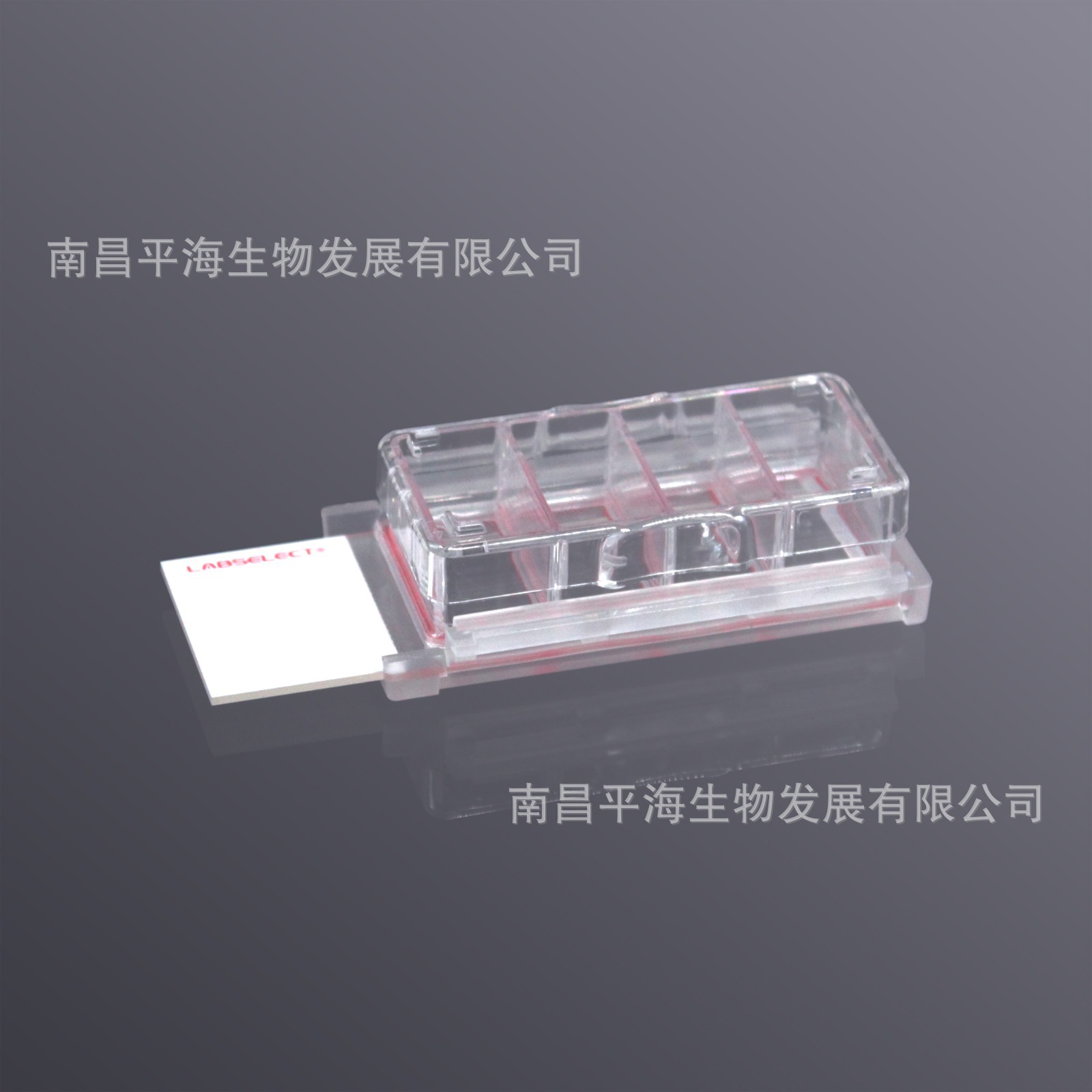 CS-04-TC 细胞培养腔室载玻片(4孔,TC处理)