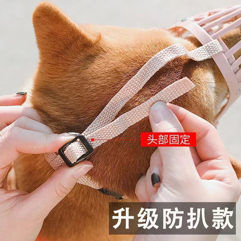 メーカーが犬の口を代行して、噛まないようにします。マスクのケージを食べます。|undefined