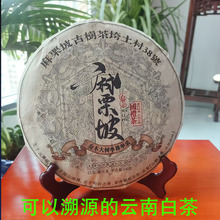 正宗云南白茶饼 高山香甜新白茶小茶饼高山紧压茶叶干300克白茶饼