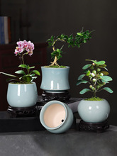 辰ļsС񺆾G}մɰ]Ԅ⻨؃rm