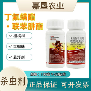���u�������P20%�����\�����������٘�t֩�뚢