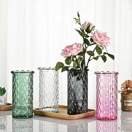 美式田园风花瓶摆件客厅插花玻璃ins风直筒创意透明富贵竹水养花