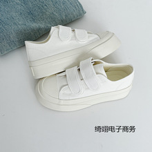 ħgNСЬŮ2025ļ¿LߺװٴɫЬh