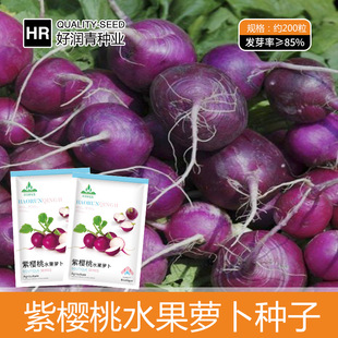 �S�����l��ɫ�����}���N������С�_���N���ļ�������ˮ�}���Ѳ���