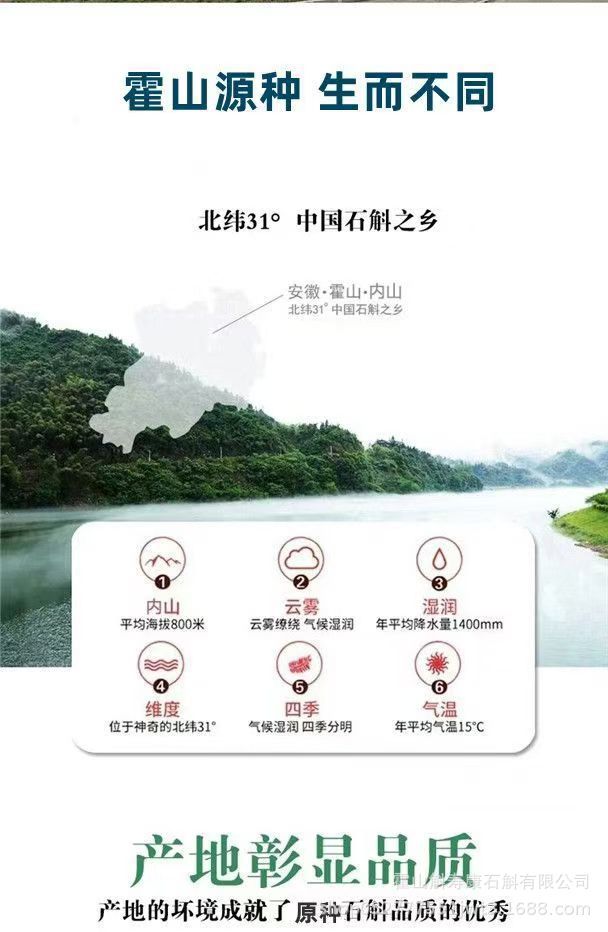Tie Pi Shi Hu Dried Dendrobium Stems 500g Huoshan Tie Pi Shi Hu for Soup Tea and Wine Infusion overview