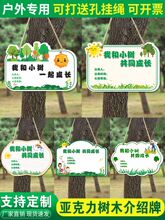 ֲ�九���Ƙ�ľ�J�B�Ғ��Ƙ�ʾ�Ɛ��o�G���Ғ���ƌWУ�༉�� ��