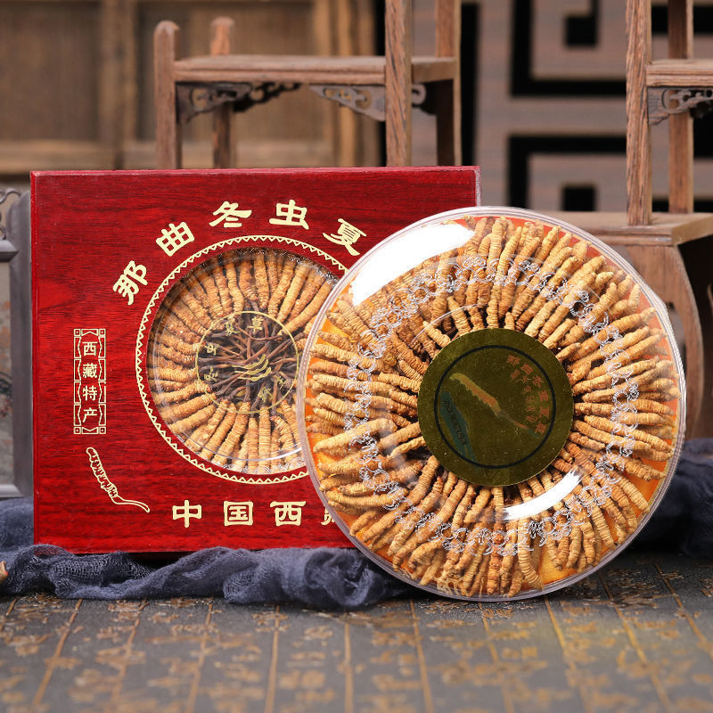 [Large market 50 root -100 root]Tibet Ganzi The Zang or Tibetan people Cordyceps Gift box packaging fresh Cordyceps