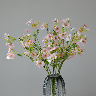 ���·��滨���lС�黨��@�ҾӼٻ���c�����zӰ�b�С�m�����`��