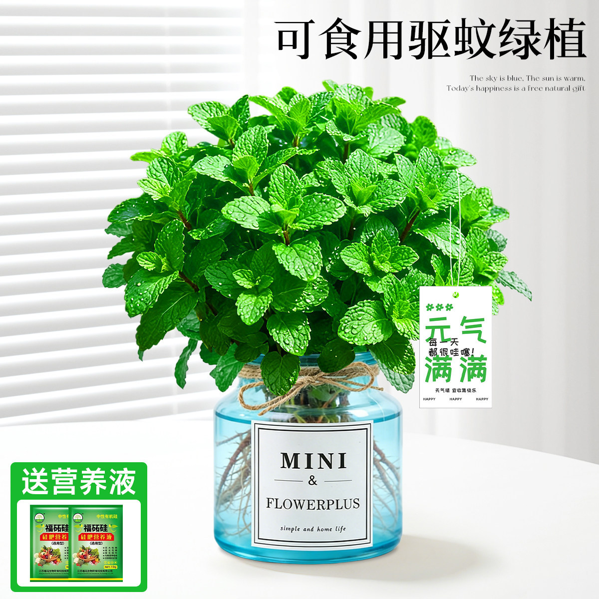 With simple planting pot