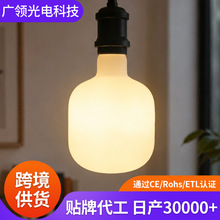跨境定制T120爱迪生灯泡 可调光2200K灯丝灯 奶白色LED灯厂家