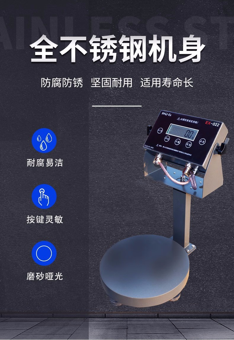 防爆电子秤