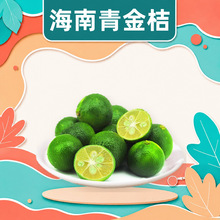 海南青金桔 批发代发1/2/3/5斤整箱多汁脆甜清甜果香浓郁新鲜水果
