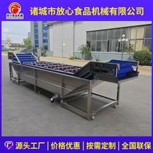 韭菜自动清洗机SUS304不锈钢果蔬清洗机芹菜蒜黄蒜苗气泡清洗设备