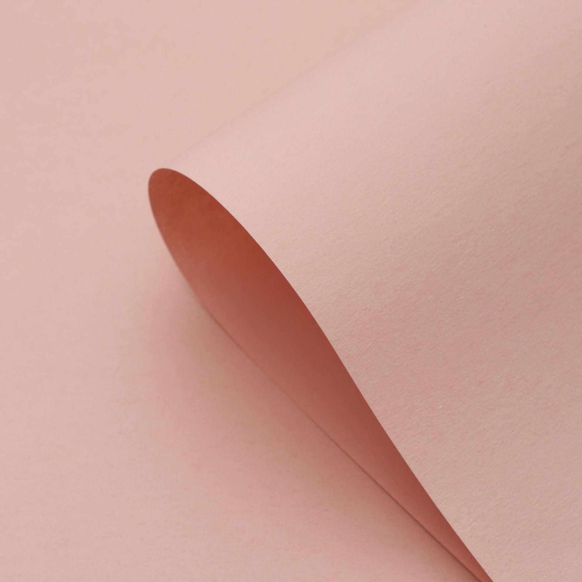 Fenghua serie de papel de embalaje de ramo de flores de color sólido papel de arte impermeable flores de papel de regalo de materiales de flores