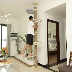 ͨ����؈ռ�ض���һ�wץ���������̫��œ؈��؈��С�������K��ľ