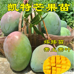 �޽�Ҭ��â����ˮ������̨�r1̖ �O��â ��â ���x��âͥԺ����ľ