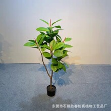 ����Gɫ������Ƥ�� �����F�辰 ǧ��ľ�ݼy�F ����� �������ľ