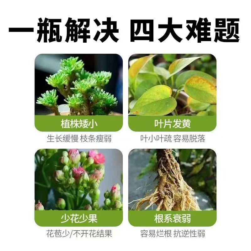百花殺菌剤、多菌菌灵専用、百菌清殺菌剤、植物花卉微量元素水溶性肥料|undefined