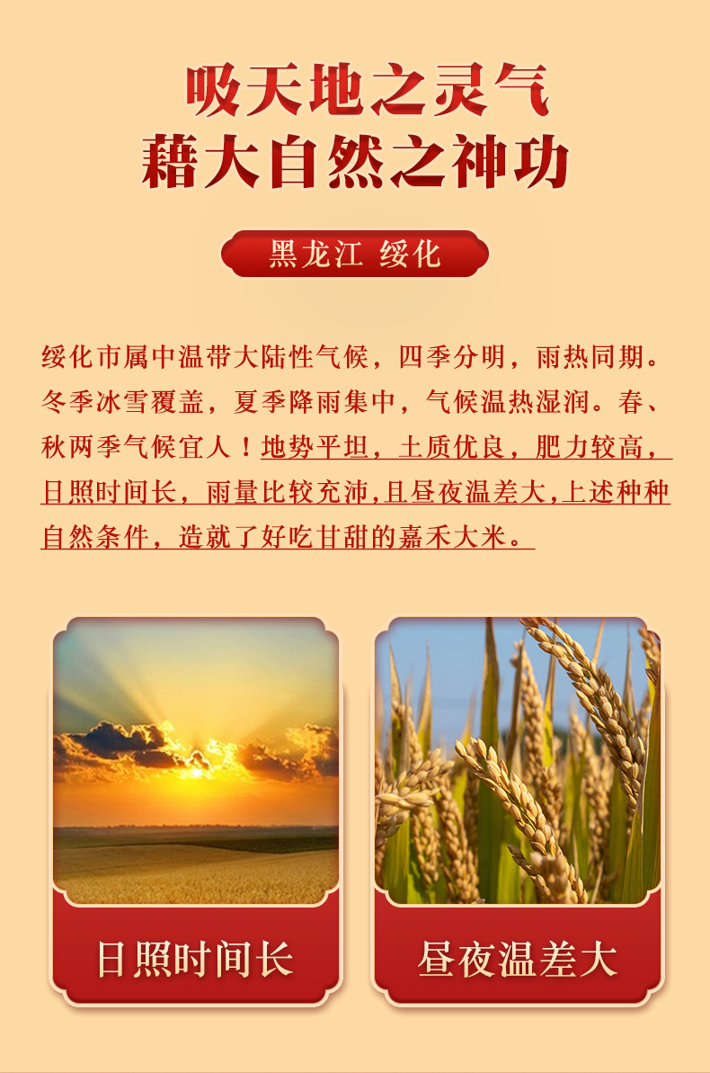 绥粳香米_08.jpg