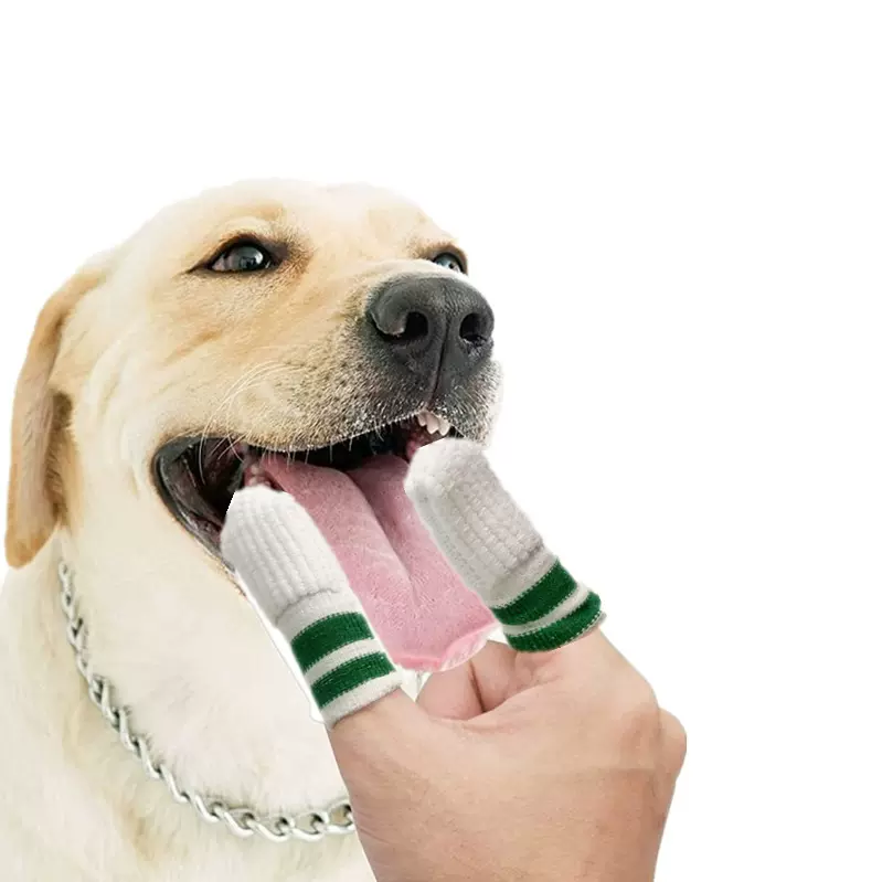 新款宠物洁牙手指套 小狗牙齿口腔清洁工具 小猫牙刷宠物护理配件