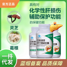 灵芝葛根胶囊蓝帽护肝胶囊熬夜养肝护肝茶葛根片一件代发
