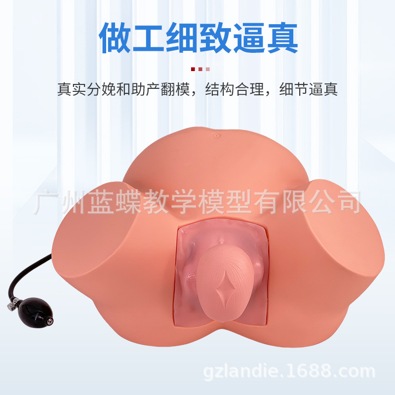 ����ʾ��ģ�� �߼��Ѳ�ʾ��ѵ��ģ�͸������Ѳ����������ѧģ��