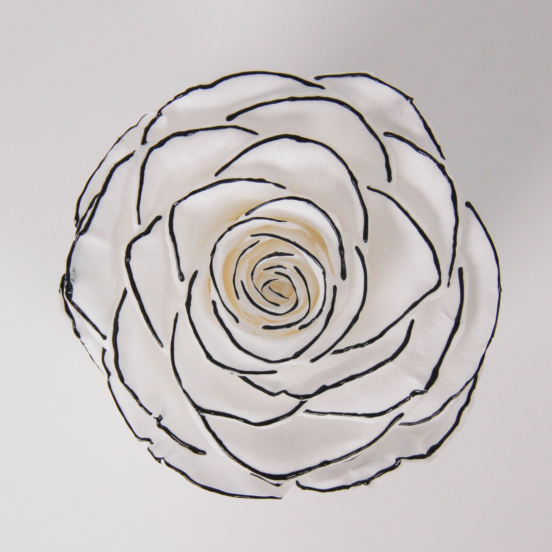 Grado una flor eterna pequeña fragancia Rosa fragancia serie de canciones Borde negro Rosa delineador de ojos flor seca floral caja de regalo de enseñanza ramo