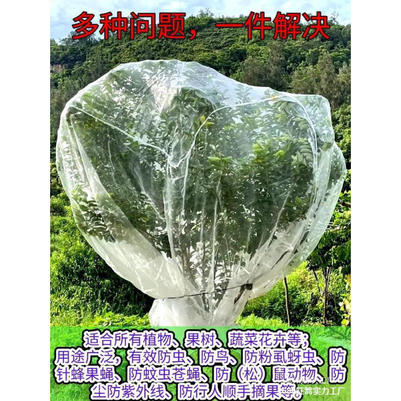 防鸟防虫网罩果树蔬园艺冰雹病虫害蚊虫果蝇针蜂透明白纱网套罩