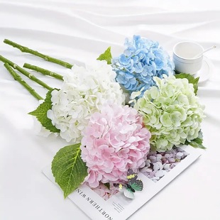 �¿���潑��3�~96Ƭ���컨��c�Ҿ��b�ˇ�[�O�zӰ���߼ٻ�