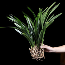 �m�������t�F�����N���㽨�m�辰�ļ��m�绨�������҃ȾGֲ��