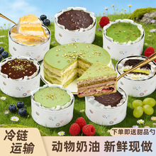 �F�޵����������300g���e��Ʒ��������Ҷ��ζ���նY����]��ʳ