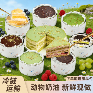 �F�޵����������300g���e��Ʒ��������Ҷ��ζ���նY����]��ʳ