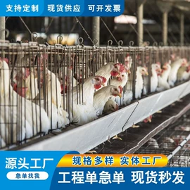 防护栏;铁丝网;不锈钢网